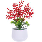  Acacia Bean Fortune Fruit Simulated Flower Potted Plant Plastic