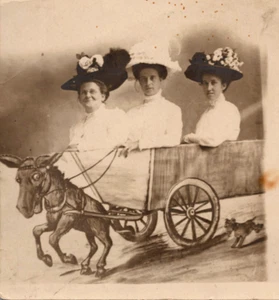 RPPC Vanity Fair Amusement Park Providence RI Postcard Women Driving Donkey Cart - Picture 1 of 5