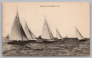 Postcard Heeling to the Breeze Racing Sailboats Unposted - Picture 1 of 2