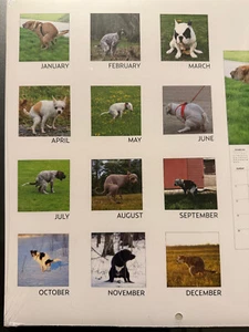 2025 Calendar ~ Dogs Pooping - Picture 1 of 5