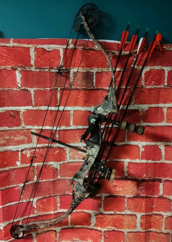 Arco compuesto Golden Eagle The Natural Litespeed 55-70 libras 31 dibujo con flechas Foto 1 de 4