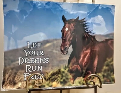 Vintage Tangerine Press Laminated Horse Poster Let Your Dreams Run Free  - Image 1 of 4