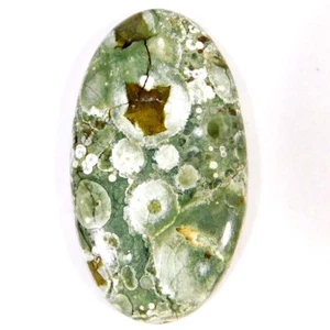 59.45Cts. Natural Untreated Rainforest Rhyolite Oval Cabochon Loose Gemstone - Picture 1 of 3