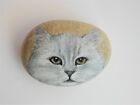 Chinchilla Cat Hand Painted on a Smooth Beach Rock Paperweight