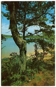 Postal estándar cromada - Cape Cod, Massachusetts - Lagos de agua dulce (1973) - Imagen 1 de 2