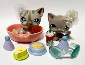 Littlest Pet Shop Haustierpaare: #467 Kätzchen Katze & #468 Kurzhaarkatze - Bild 1 von 13
