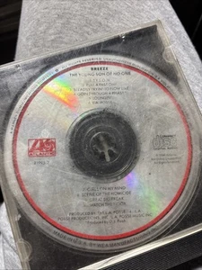 BREEZE - The Young Son Of No One - CD - OG PRESS Atlantic DJ Pooh - Picture 1 of 1