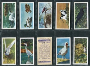 BROOKE BOND 1954 - "FRANCES PITT BRITISH BIRDS (Cream & White)" - PICK YOUR CARD - Picture 1 of 42