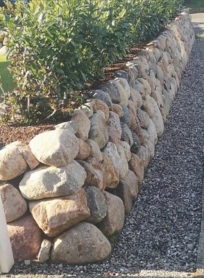 1000kg (1To) Nordische Findlinge Natursteine Friesenwall Steine 10-50 frachtfrei - Bild 1 von 4