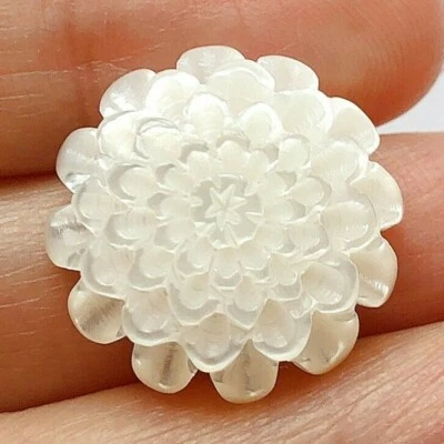 White Mother of Pearl Shell Half Drilled Carved Dahlia 18 mm Round 1 PC C8374 - Image 1 of 4