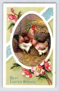 Postcard Easter Chicken Rooster Hen 1910s Unposted Divided Back Nash - Picture 1 of 2