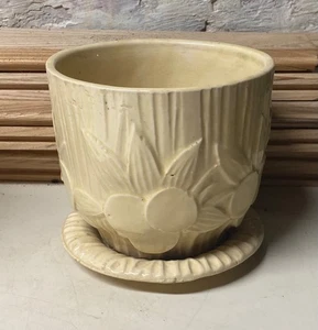 Vintage McCoy Keramik SAND DOLLAR groß 6" Durchmesser Blumentopf ungerade Farbe - Bild 1 von 6