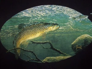 AL Agnew black L t shirt Speckled Trout - Picture 1 of 4
