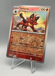 033/162 Torracat - SV05 Temporal Forces - Reverse Holo NM Pokemon - Picture 1 of 2