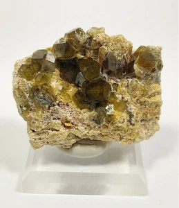 Andradit Granat, Nioro du Sahel Cercie, Region Kayes, Mali, #gar50 - Bild 1 von 4