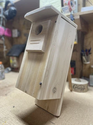 Caja nido pájaro carpintero de vientre rojo (cedro blanco) Foto 1 de 4