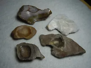 Oddity Notched Blade Flints As Found Lot Of 5 Kansas River Bed 99 Grams Total - Picture 1 of 12
