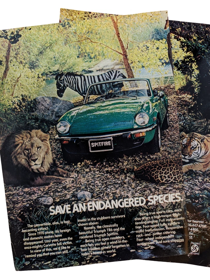 Triumph Spitfire TR6 Convertible "Endangered Species" 1976 Time Mag Ad 16x11" - Image 1 of 1