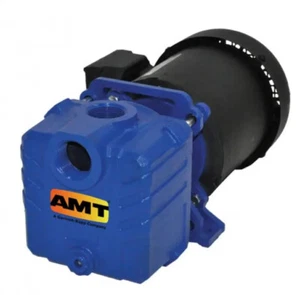 AMT Pumps 285G-95 - Self Priming Centrifugal Pump - 1.25", 1HP/3PH, 230/460v - Picture 1 of 3