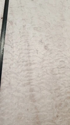 Maple Fiddleback Flame Bookmatch #1086 L.22" W.15&1/4" T. 3/8" Foto 1 de 4