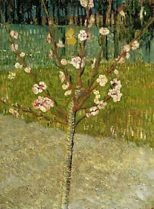 Almond tree in blossom by Vincent Van Gogh Giclee Museum Size Repro on Canvas - Picture 1 of 1