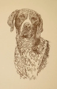 German Shorthaired Pointer Signed Dog Art #80 Kline adds dog name free. GSP gift - Picture 1 of 12