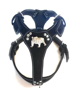 Black Leather Dog Harness Large with English Bulldog Badge - Picture 1 of 1