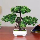 Artificial Bonsai Tree Potted Pine Tree for Living Room Windowsill Table