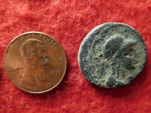 Arados, Phoenicia - Ancient Greek Coin - UNUSUAL MULE??? (21T20). - Picture 1 of 3