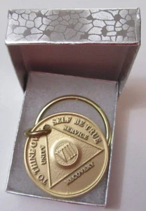 Alcoholics Anonymous 8 Year AA Bronze Medallion Key Chain Token coin key ring - Picture 1 of 6