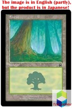 Magic: The Gathering MTG Jpver Forest (347) MMQ Basic Land