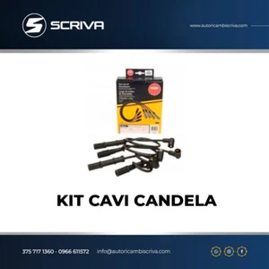Kit Cavi Accensione Candela NGK Ford Focus Fiesta C-Max II Mazda 2 Volvo 1.4 1.6 - Imagen 1 de 1