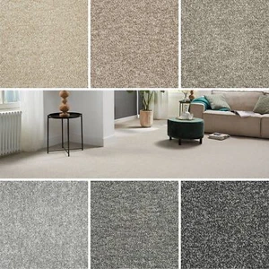 Carpet Cheap 8mm Saxony Carpet 4m 5m Lounge Bedroom Grey Carpets Only £5.49! - Picture 1 of 13