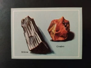 FIGURINA VITA E COLORE ED. MODERNA 1969 n 274 OTTIMA MAI ATTACCATA - Imagen 1 de 2