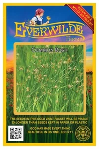 2000 Common Rush Native Grass Seeds - Everwilde Farms Mylar Seed Packet - Picture 1 of 3