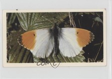 1983 Doncella British Butterflies Tobacco Orange Tip #28 1i3