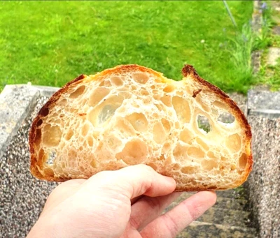 GREAT GRANDMAS SAN FRAN SOURDOUGH STARTER FREE RECIPES! Sourdough Bread Starter San Francisco - 200yrs Old BEST SELLER!