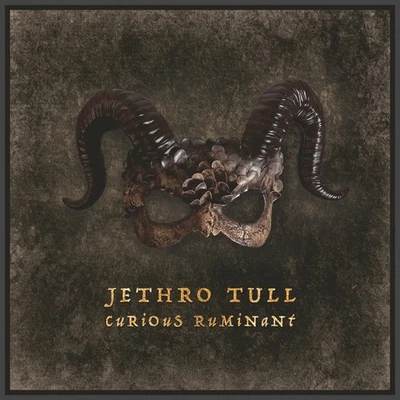 Jethro Tull Curious Ruminant (CD) Limited Deluxe  Album with Blu-ray Audio - Bild 1 von 2
