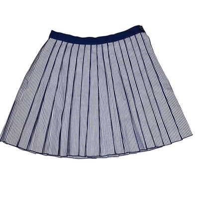 Vineyard Vine Poplin Stripe Pleated Skirt size 00 Blue White - Изображение 1 из 4