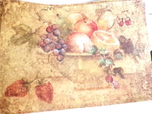 Citrus Floral Set 4 Placemats 12" x 17" - Fruit Spot Clean Never Used - Picture 1 of 5
