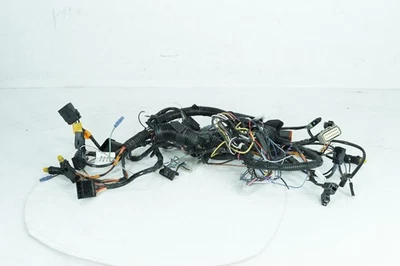 Harley Touring Street Glide 2008 OEM cableado delantero arnés telar interconexión Foto 1 de 4