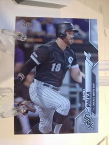 2020 Topps Baseball Card #307a Daniel Palka (488) - Picture 1 of 2