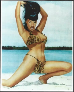 Bettie Page 1970s Licensed Reprint 8x10 Glossy Sexy Pin-Up Color Photo - Picture 1 of 2