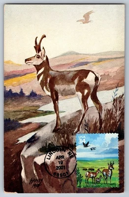 #3506a Great Plains Prairie Pronghorns & Geese FDC Maxi Card - Image 1 of 2