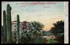 PHOENIX ARIZONA, STATE CAPITOL GROUNDS, CACTUS GARDEN, Museum SELIGE UDB pm 1907 - Bild 1 von 2