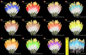 Wholesale 100pcs Beautiful Colorful Natural Goose Feather 10-15cm / 4-6 inches - Bild 1 von 23
