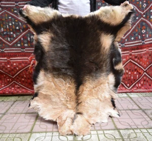 Angora Goat Leather Goatskin Fur 2 x 3 ft Pelt Hide 100% Natural Goat Skin Rug - Picture 1 of 12