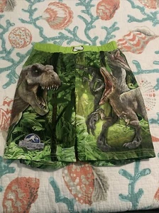 Jurassic Park Swim Trunks For Kids - Picture 1 of 2