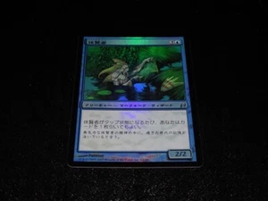 Fallowsage FOIL Japanese x1 Lorwyn mtg SP - Picture 1 of 2