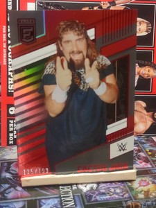 Cactus Jack 2022 Panini Chronicles Donruss Elite WWE Red Parallel #115/199